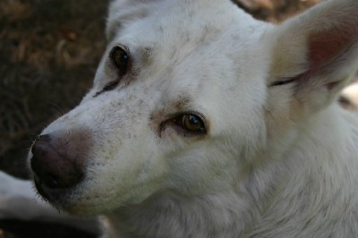 Felix_Kopf Felix_Kopf