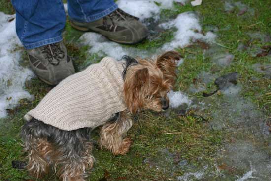 Fidel-letztes-Foto-im-Garte