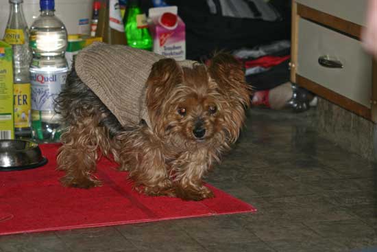 Fidel-letztes-Foto-in-der-K