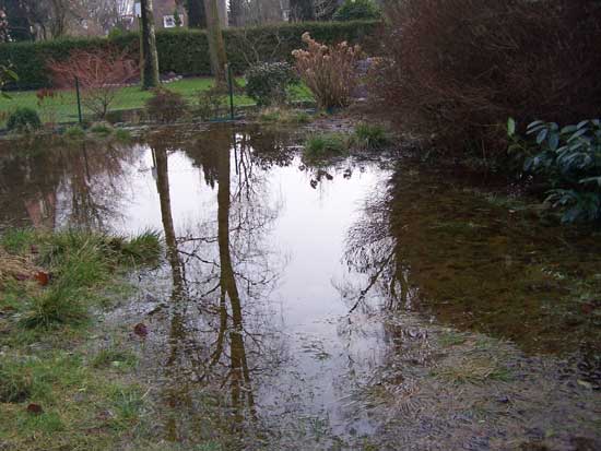 Garten-unter-Wasser-Feb2011