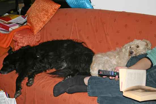 Maja-Perry-Sofa18102011