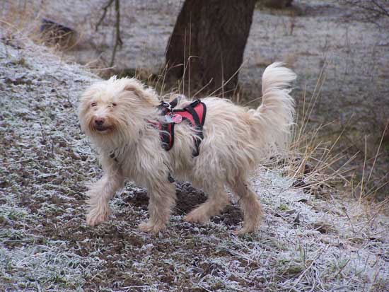 Maja-lachend-am-Deich110120