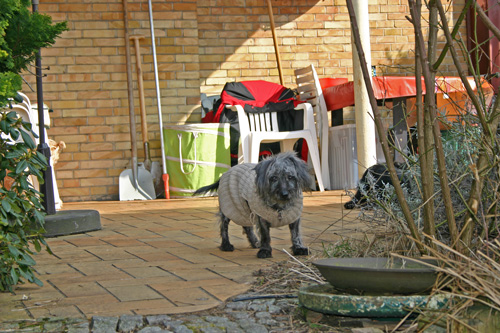 Maxi-Terrasse18032010 Maxi-Terrasse18032010