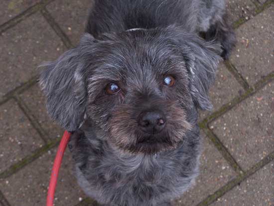 Moritz-Kopf Moritz-Kopf