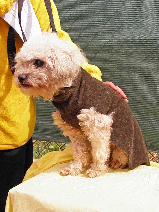 Simpi-Valencia Simpi-Valencia