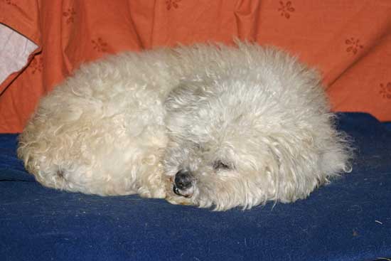 Toby-Decke-April2011