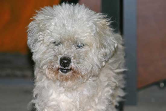 Toby13032011 Toby13032011