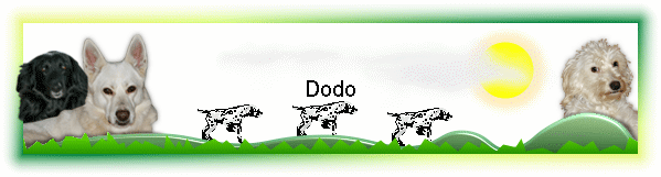 Dodo