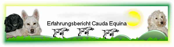 Erfahrungsbericht Cauda Equina