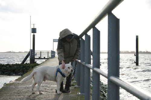 Felix-Iris Felix-Iris