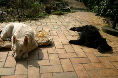 Felix-Perry-Terasse Felix-Perry-Terasse