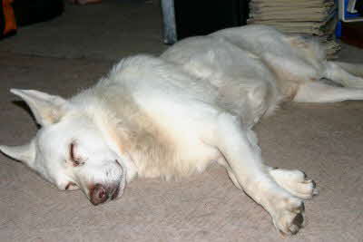 Felix14Jan09 Felix14Jan09