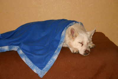 Felix_Decke Felix_Decke