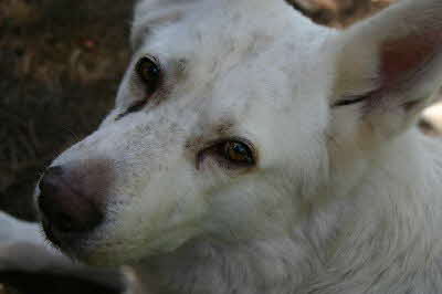 Felix_Kopf Felix_Kopf