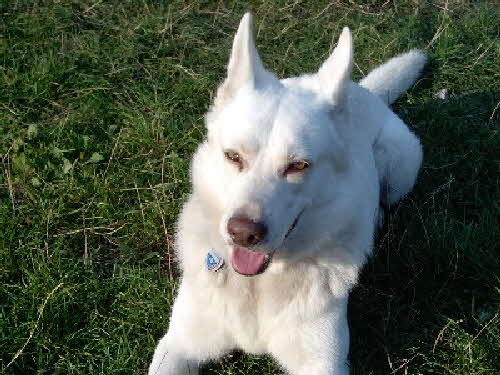 Felix_grinsend03 Felix_grinsend03