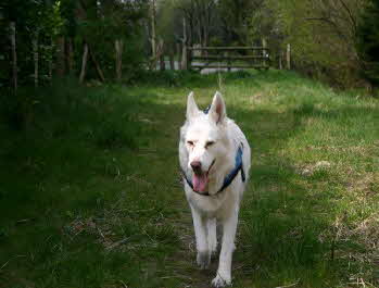 Felix_im_April Felix_im_April