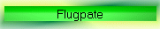 Flugpate