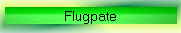 Flugpate