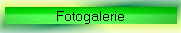 Fotogalerie