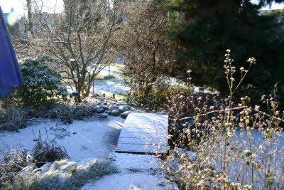 GartenJan09 GartenJan09
