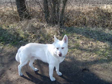 IM000069 (450 x 338) IM000069 (450 x 338)