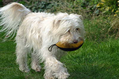 Maja-mit-Stoeckchen1 Maja-mit-Stoeckchen1