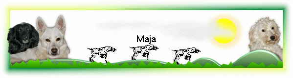 Maja