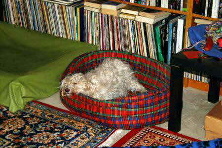 Maja_komisch_im_Koerbchen Maja_komisch_im_Koerbchen