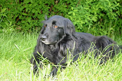 Perry-Garten-Juni2009 Perry-Garten-Juni2009