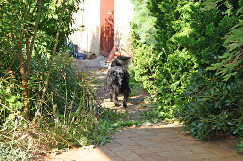 Perry-Garten08102009 Perry-Garten08102009