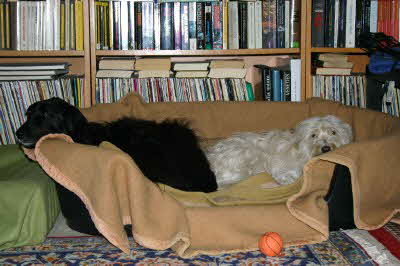 Perry-Maja-Koerbchen Perry-Maja-Koerbchen