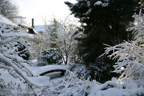 Schnee2010a