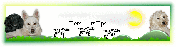 Tierschutz Tips