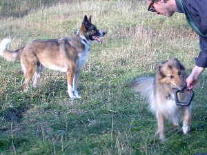 J�rgen mit Asta und Trixi