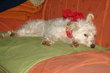 Blanca3 Blanca3