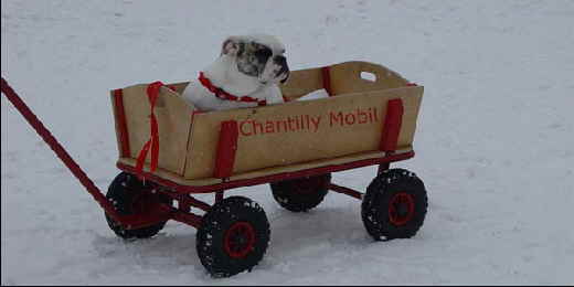Chantilly-Bollerwagen