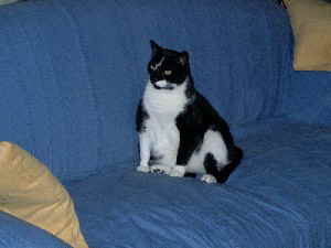Dodo auf dem Sofa