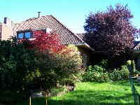 Garten1