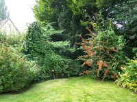 Garten3 Garten3
