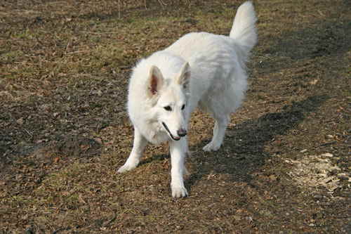 Lucy18032010