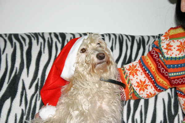 Maja-Weihnachten-2009