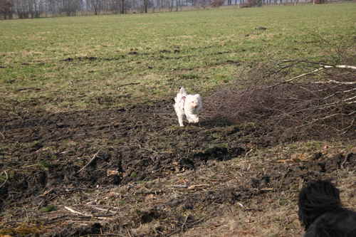 Maja-auf-Feld-18032010b