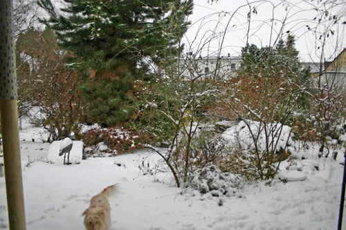 Maja_Terrasse_Jan_2010 Maja_Terrasse_Jan_2010