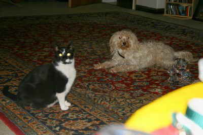 Maja_und_Dodo