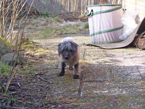 Maxi-Garten18032010