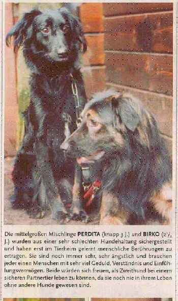 Perry-Tierheim2