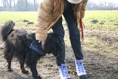 Perry-und-Iris-18032010