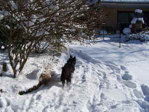 Perry_Schnee Perry_Schnee