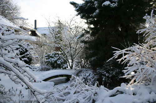 Schnee2010a Schnee2010a