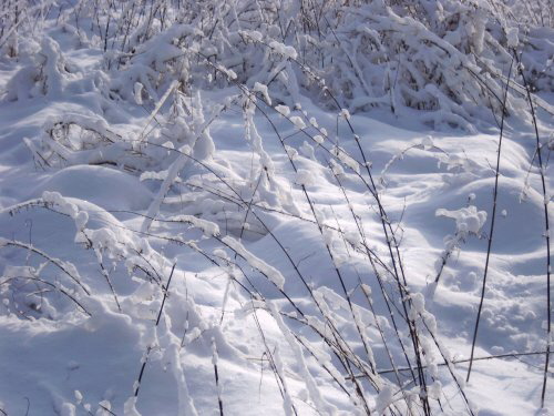 Schnee2010c